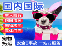 北戴河航空托运国际宠物托运 【国